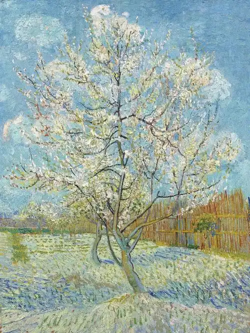 梵高盛开的桃花作品欣赏含细节