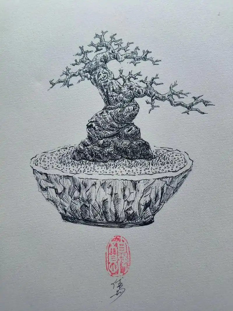 盆景设计教学手绘流程图 - 抖音