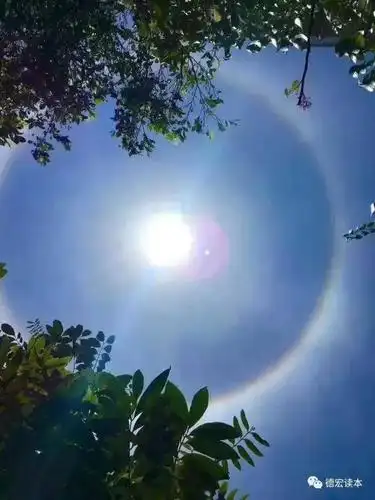 德宏那么热,瑞丽,陇川人却集体暴晒,还都仰着头