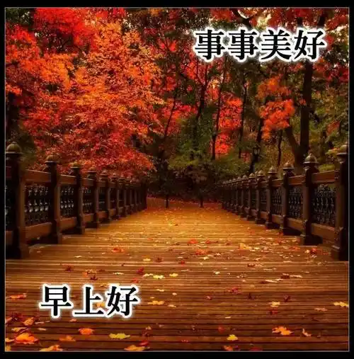 唯美的秋天风景枫叶早上好图片温馨带字漂亮秋天枫叶早安问候图片精选