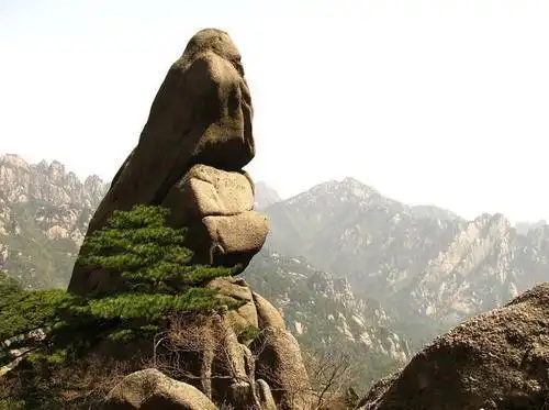 二年级的狮子抢球手抄报 二年级的手抄报黄山奇石仙女弹琴手抄报 手