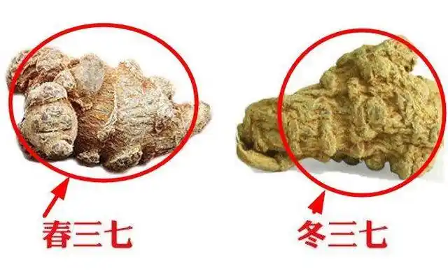 五个技巧教你辨别真假好三七的方法