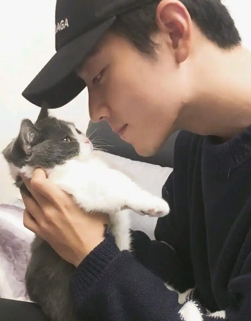 肖战与猫咪的故事,粉丝:羡慕那只猫