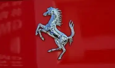 一条银色的马抬起前脚的标志的是什么车