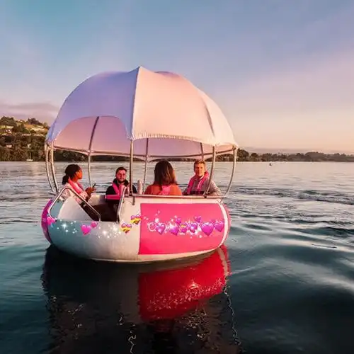 水上bbq烧烤船电动游乐船农家乐水上餐厅带灯光6-8人高分子材质