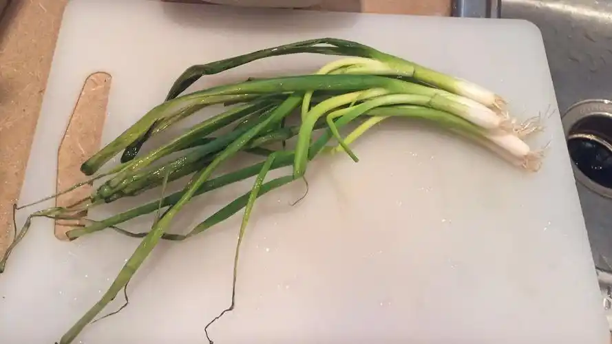 其实买回来的时候可漂亮了!我可是个外貌协会!真的! 好了,切段