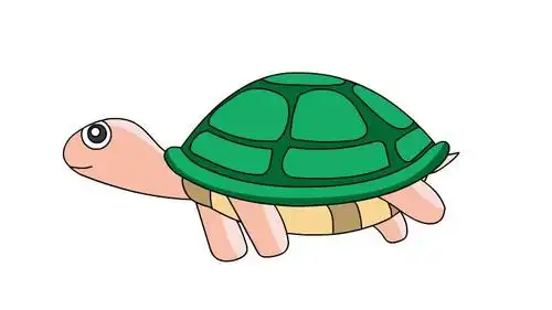 乌龟简笔画