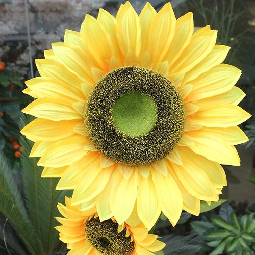 饰花艺干花落地道具摆件家居由"备货网"根据销量,好评率,价格和信誉