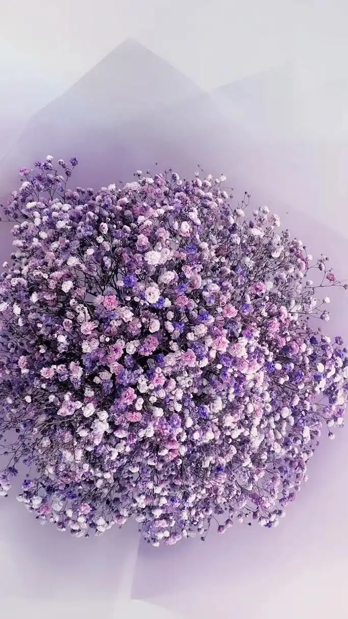 "有一种花,叫满天星,它的花语是,我甘愿做配角,瞒着所有人爱 - 抖音