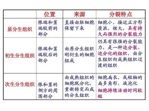 1.植物的组织ppt