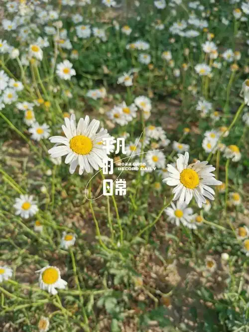 总是会让我觉得自己特别没意思特别无聊特别无力,觉得自己一无是处