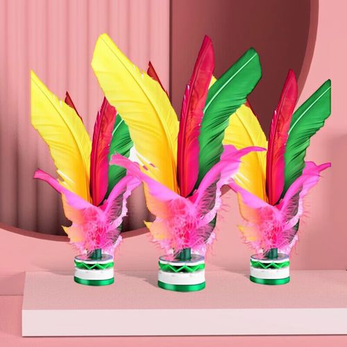 伙伴毽子小学生比赛专用羽毛耐踢毛毽球老式键儿童大人运动鸡毛毽子