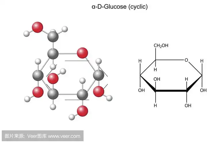 葡萄糖结构式_果糖结构式