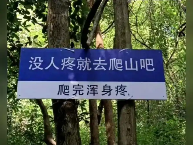 除了没人疼,全身哪都疼.