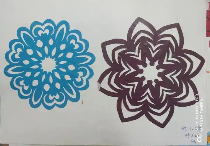 图形创作对称之美图形创作对称之美双流中学万科实验学校三年级学生轴