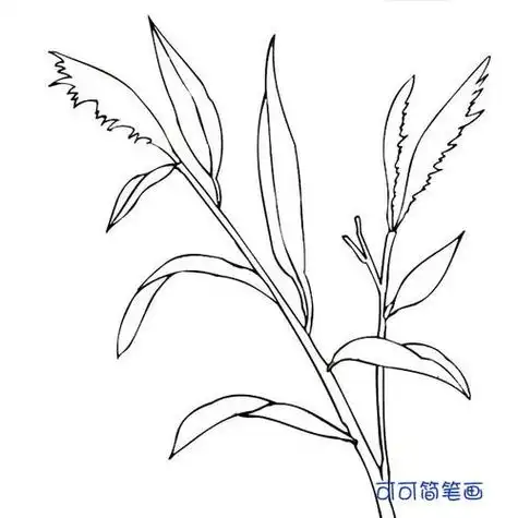 小草简笔画的画法步骤图教程小草的简笔画大全大图小草简笔画图片大全
