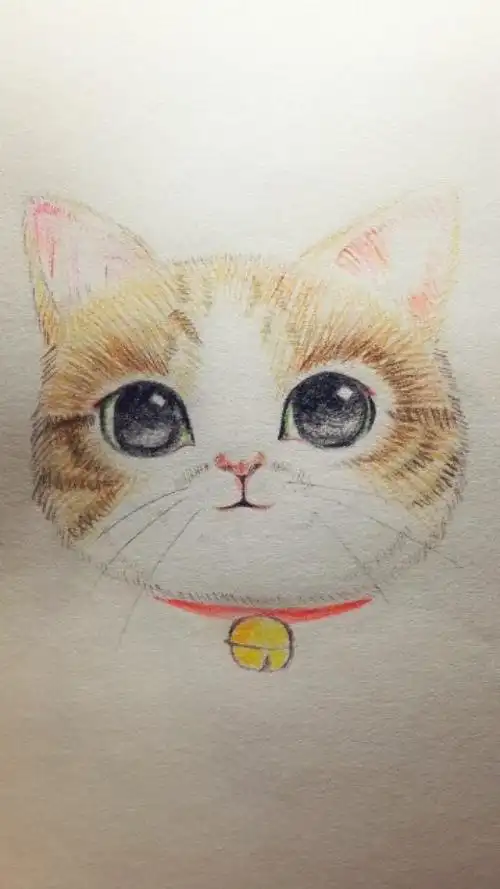 临摹的彩铅猫咪-堆糖,美好生活研究所