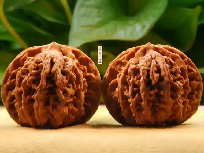 闷尖狮子头核桃