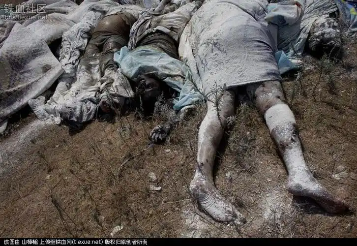 利比亚首都一仓库发现53具烧焦尸体 - 陆军论坛