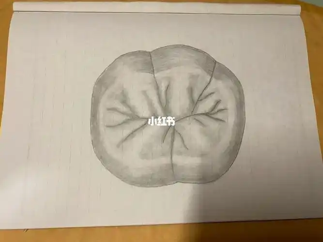 素描  #绘画 #口腔医学生  #口腔解剖生理学  #牙体