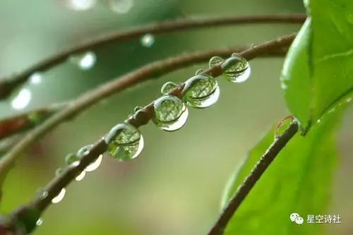 了雨伞 红色的绿色的粉色的…… 天色越来越暗 霓虹灯光透过雨线轻柔