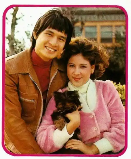 甄妮的提议说到了傅声的心坎里.