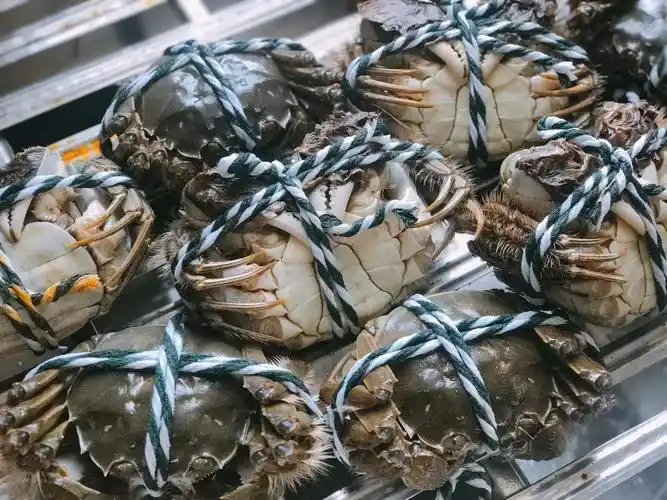 916在现场 | 揭秘阳澄湖——第一口蟹的滋味