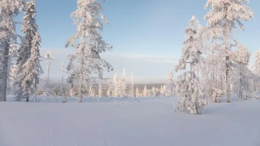 北方冬季雪景白雪皑皑自然风光优美风景高清桌面壁纸