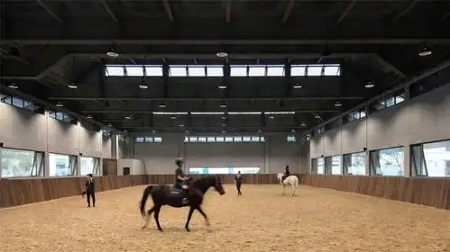 以马为媒,越向未来〡贵州首个社区马术俱乐部落地铁建城