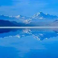 微信花草植物头像微信帅哥头像微信非主流头像微信背影头像微信素描