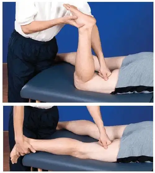 跑步后如何对腿部进行放松?|肌肉|肌群|脚掌|绳肌|背屈_网易订阅