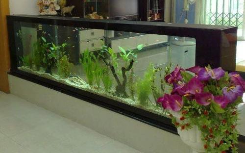 定做玄关隔断镶嵌入式生态鱼缸餐边柜台式水族箱玻璃客厅酒柜鱼缸