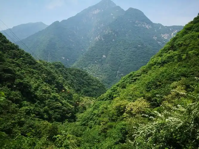 秦岭一一万花山