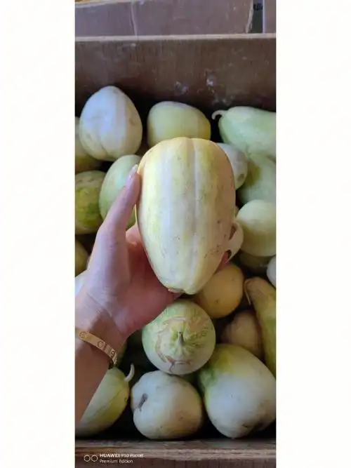 列治文东北香瓜油豆角来了