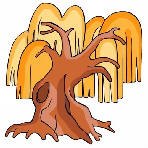 卡通树木特写图片