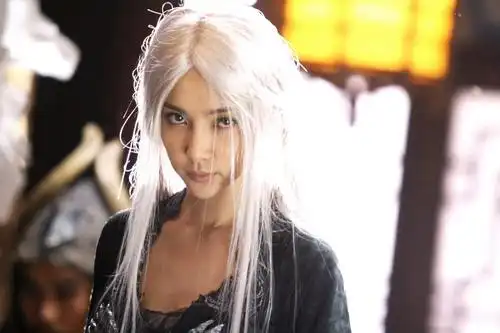 图李冰冰功夫之王图片惊艳最近顺风顺水势头一路看涨