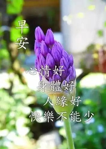 2020新版清晨早上好问候朋友的图片 暖心的早上好祝福句子