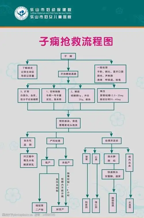 子痫抢救流程图图片