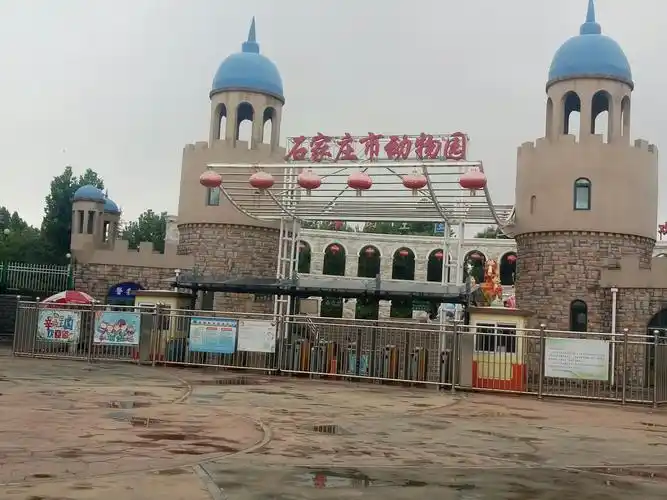 石家庄动物园游记!