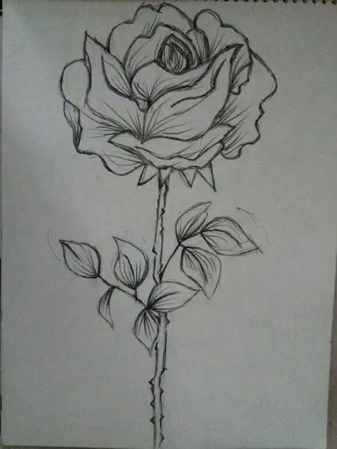 比较难的花简笔画