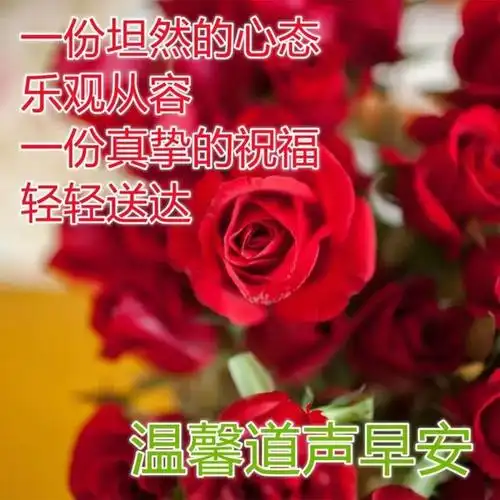 特别漂亮早安问候语图片带字温馨,漂亮早上好美图