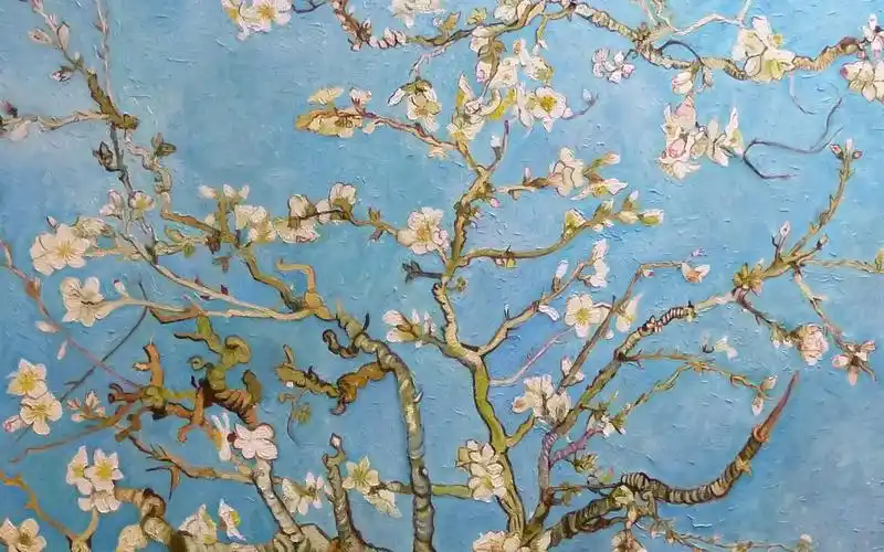 活动  【名作赏析】梵高「杏树花开」