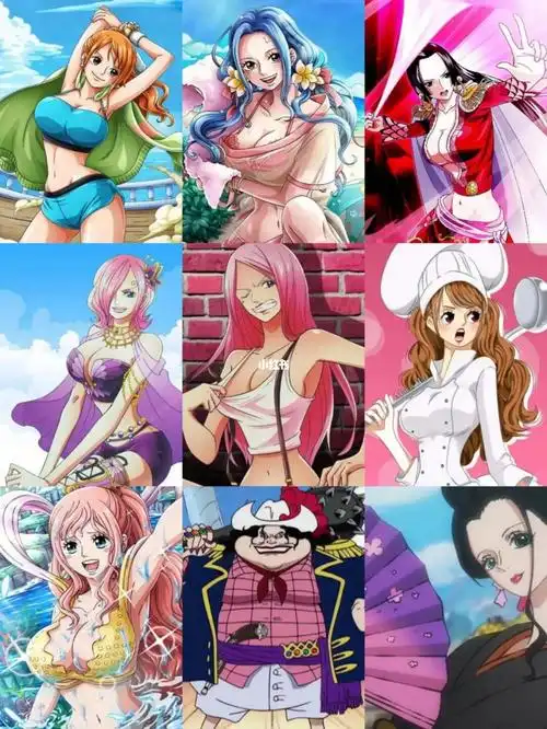 海贼王中的美女
