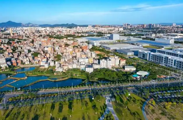 悦读·翔安|新翔安人|海沧|内卷|翔安区|朱毅力|厦门市_网易订阅