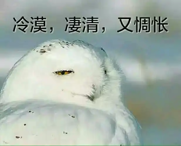 我永远喜欢丹娜伊克路西亚