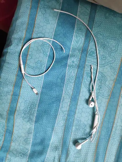 【讨论】崽子突然会啃耳机线了怎么预防啃电线!