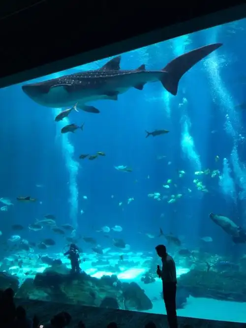 佐治亚水族馆