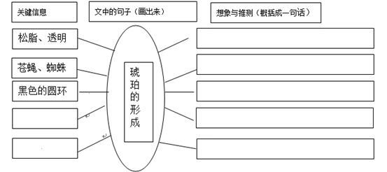 小组根据那块琥珀特点的 关键信息, 学习推测, 想象过程,完成思维