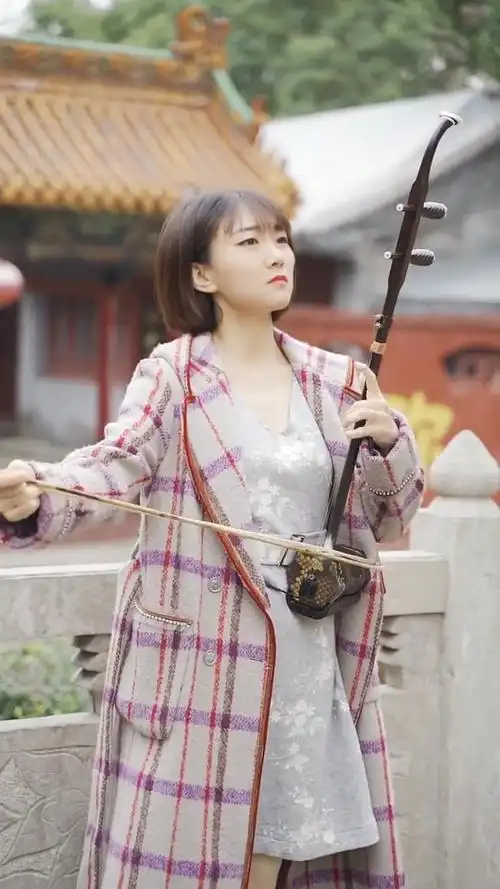 古典中国风国风民乐艺术欣赏二胡独奏梅花泪