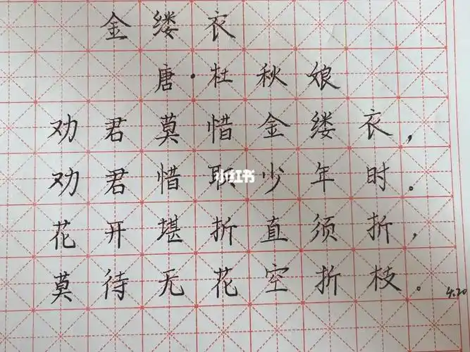 练字第48天金缕衣